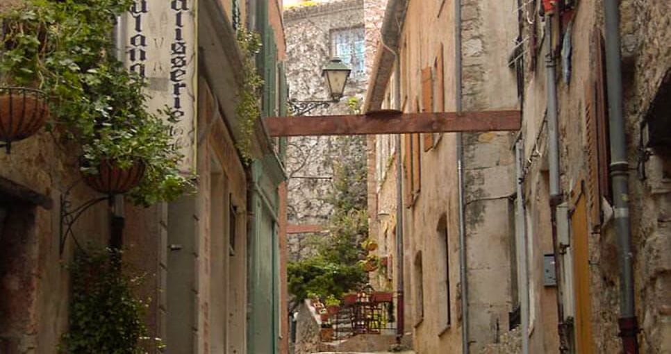 Colombier-fiche-activites-culture-pays-de-fayence-bloc1-grande