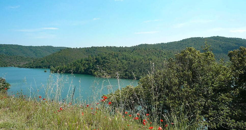 Colombier-fiche-activites-sports-loisirs-reserve-fonduranne-bloc1-grande