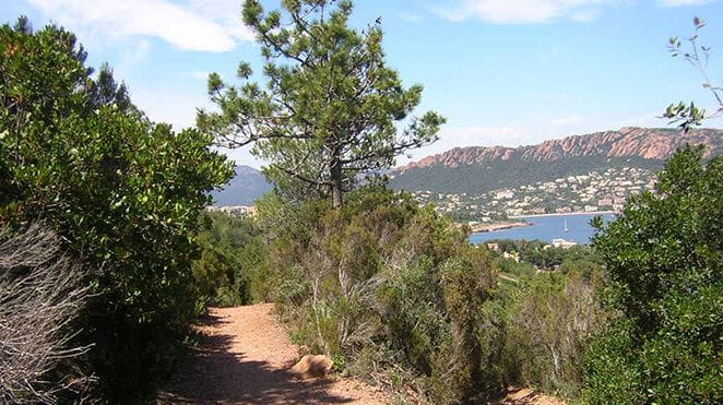 Colombier-fiche-activites-sports-loisirs-sentier-littoral-bloc1-petite